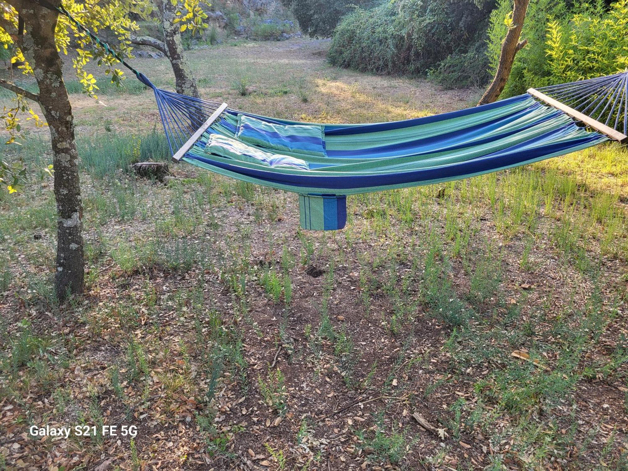 Un Ecrin De Verdure Et Plus.. Besse-sur-Issole Bagian luar foto